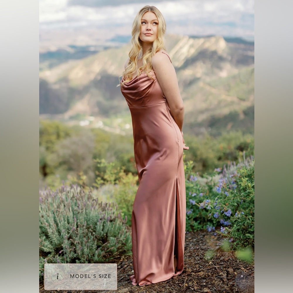 Revelry sky satin dress size 4 in desert rose